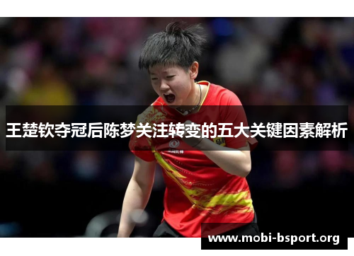 王楚钦夺冠后陈梦关注转变的五大关键因素解析 王楚钦夺冠后陈梦关注转变的五大关键因素解析