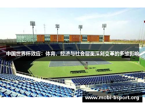 中国世界杯效应:体育、经济与社会层面深刻变革的多维影响 中国世界杯效应:体育、经济与社会层面深刻变革的多维影响