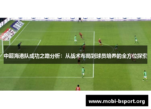 中超海港队成功之路分析：从战术布局到球员培养的全方位探索