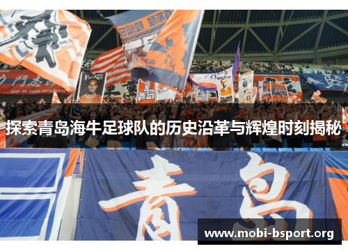 探索青岛海牛足球队的历史沿革与辉煌时刻揭秘 探索青岛海牛足球队的历史沿革与辉煌时刻揭秘