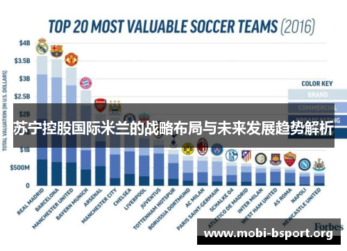 苏宁控股国际米兰的战略布局与未来发展趋势解析 苏宁控股国际米兰的战略布局与未来发展趋势解析