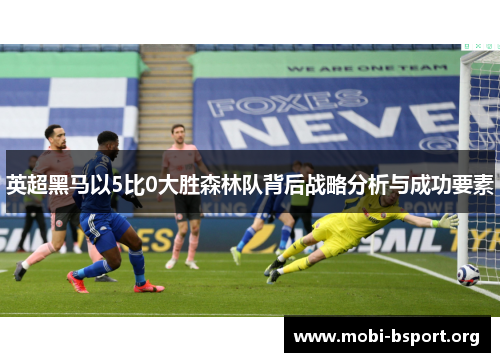 英超黑马以5比0大胜森林队背后战略分析与成功要素 英超黑马以5比0大胜森林队背后战略分析与成功要素