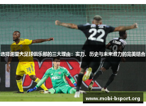 选择谢里夫足球俱乐部的三大理由:实力、历史与未来潜力的完美结合 选择谢里夫足球俱乐部的三大理由:实力、历史与未来潜力的完美结合